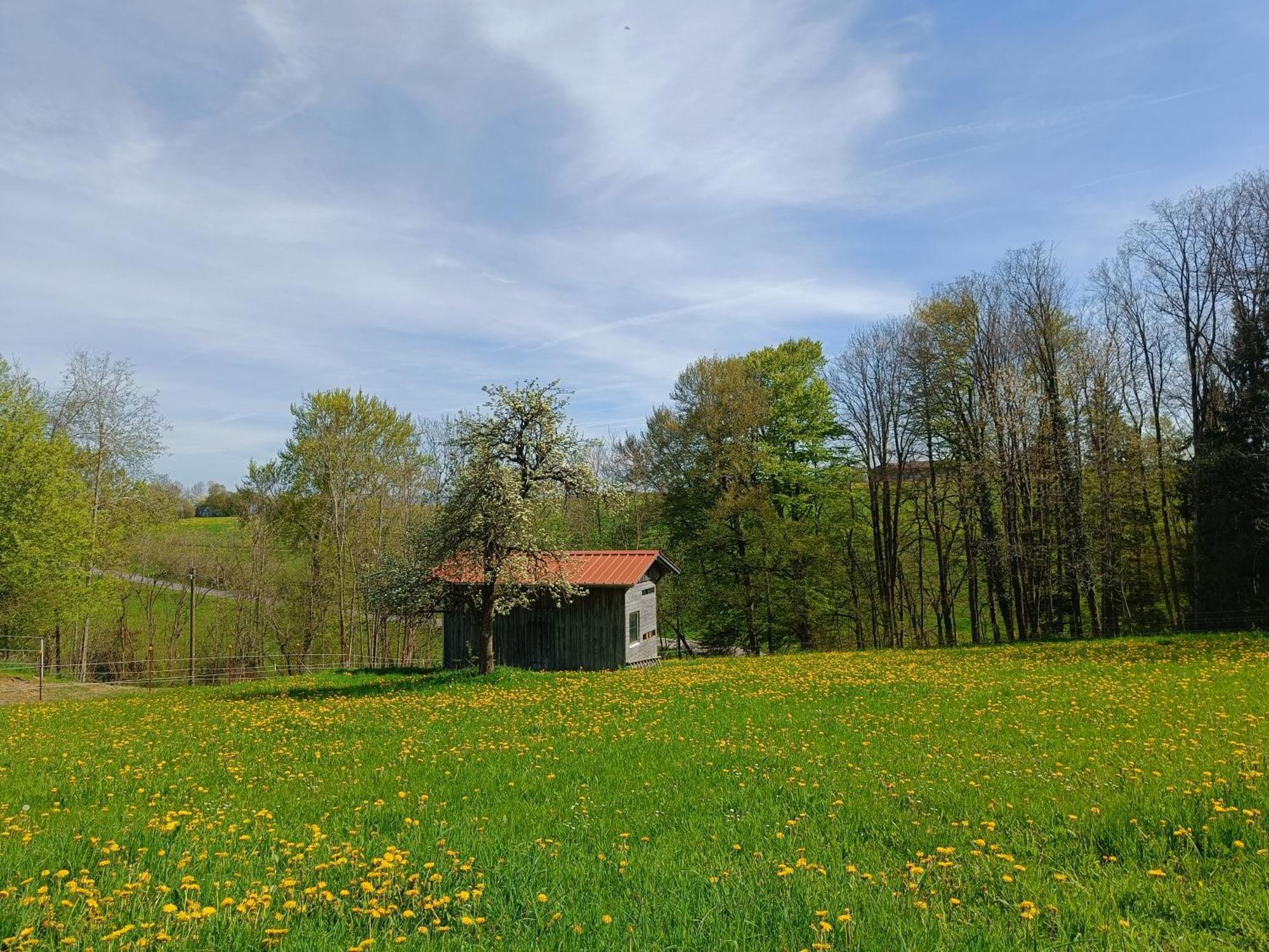 Apartmán Berghof-Glueck Kaufbeuren Exteriér fotografie